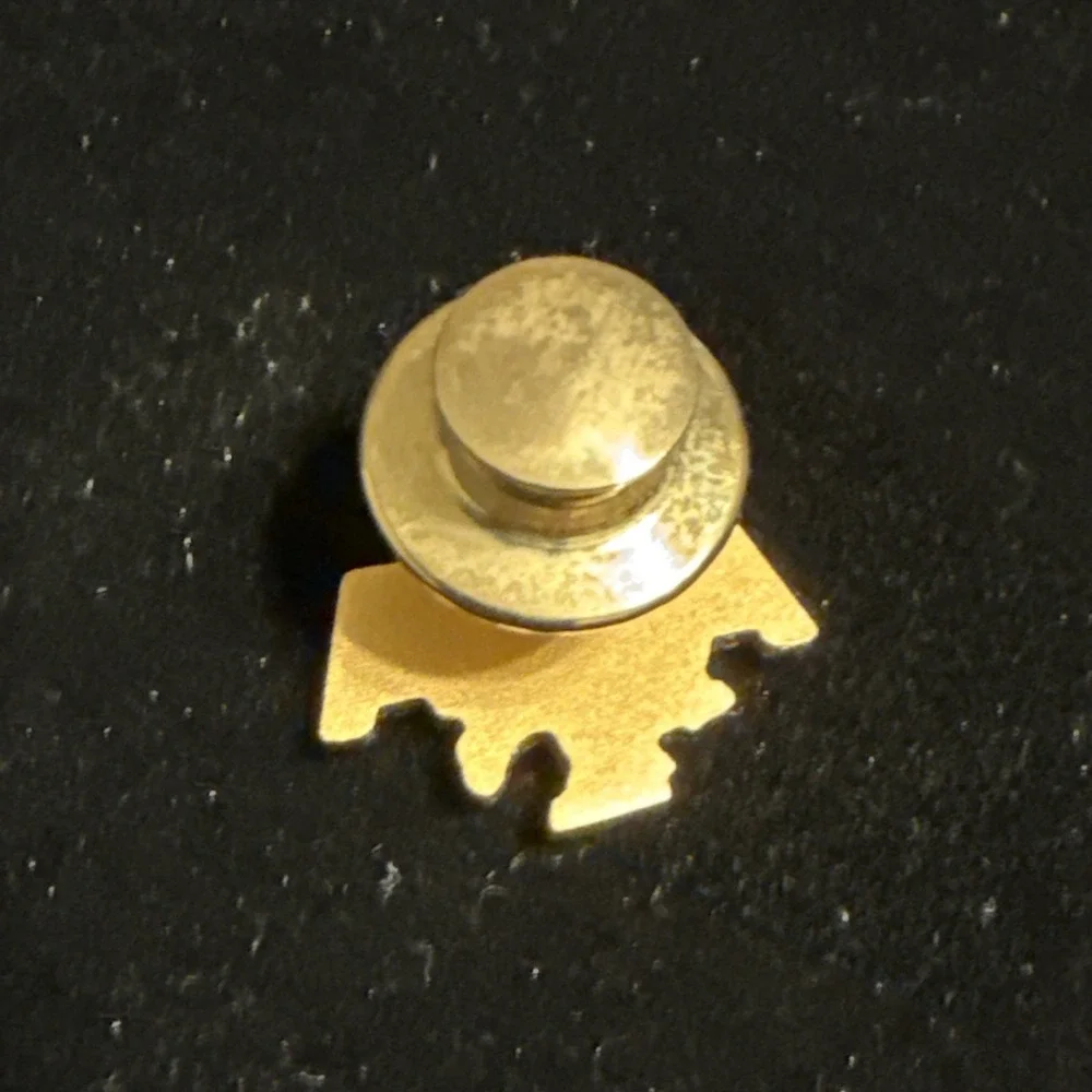 Vintage American Airlines Eagle Employee‎ Black & Gold Service Pin